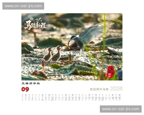 中国足协公布2026竞赛日历 统筹国家队联赛亚冠亚运多项赛事